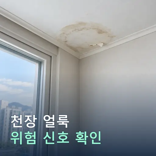 천장 얼룩이 커지지 않는데 위험한 이유